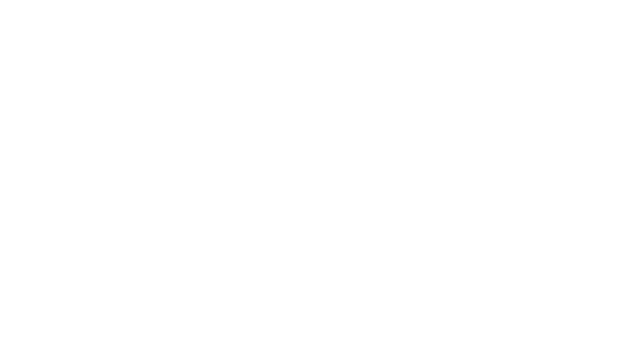 Bean Burger